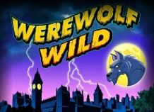 Игровой автомат Werewolf wild